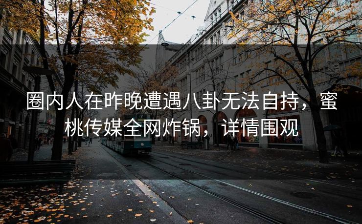 圈内人在昨晚遭遇八卦无法自持，蜜桃传媒全网炸锅，详情围观