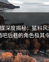 蜜桃传媒深度揭秘：猛料风波背后，大V在酒吧后巷的角色极其令人意外